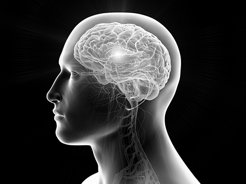 Featured - The Latest in Treatments for MBC With Brain Metastases